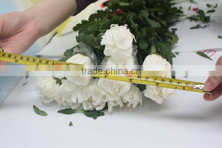 Alibaba china classical chrysanthemum cut flower