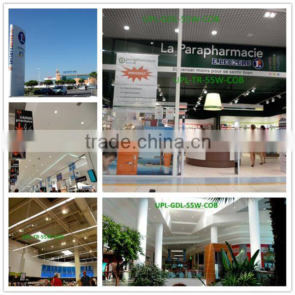 anti-glare 2x30W CITIZEN COB LED Grille down light