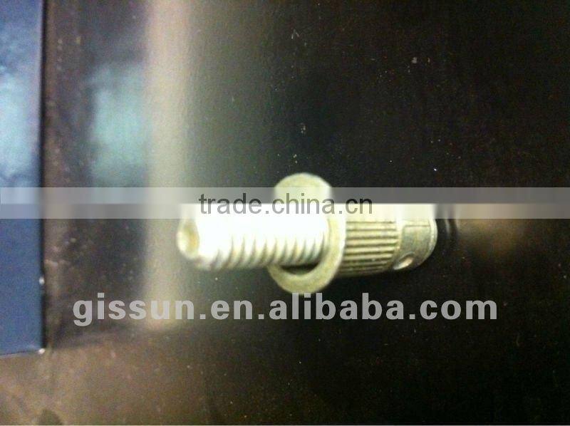 stainless steel and carbon steel blind rivet nut