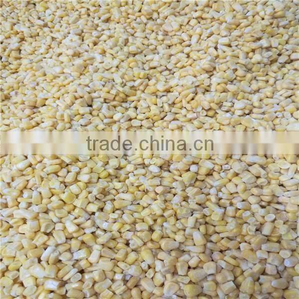 2016 new crop sweet corn kernels with HACCP certification