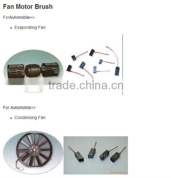 Industrial/Battery Vehicle Brush made in China