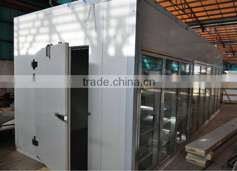 polyurethane insulated glass door freezer storage