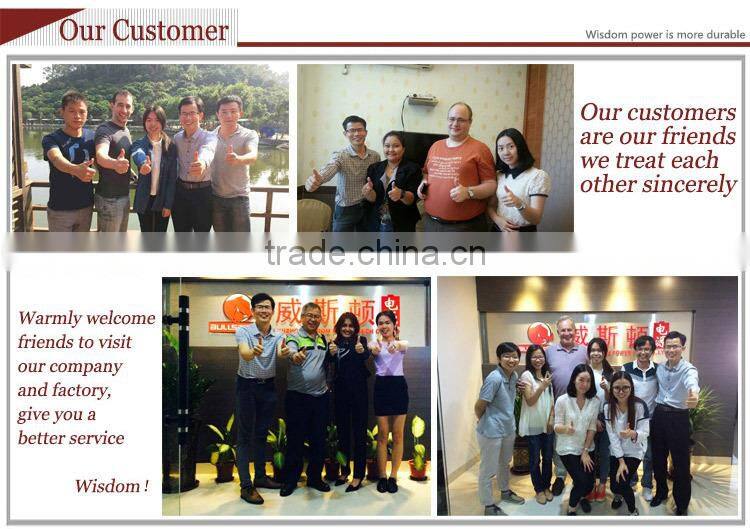 round lithium polymer battery pack 11.1 volt 650mah for tablet pc