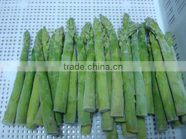 IQF Fresh Green Asparagus from China