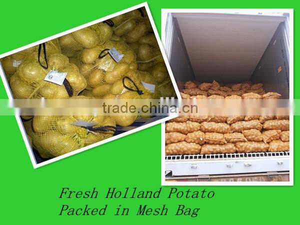 2015 crop china fresh potato