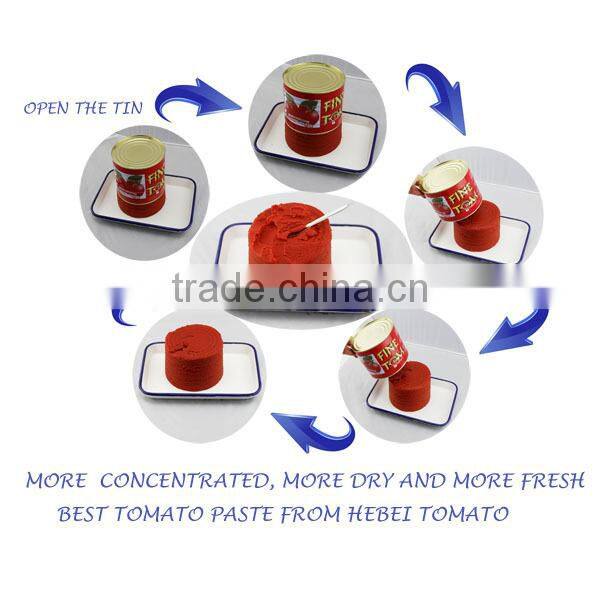 fresh tomato paste in tin food and red color