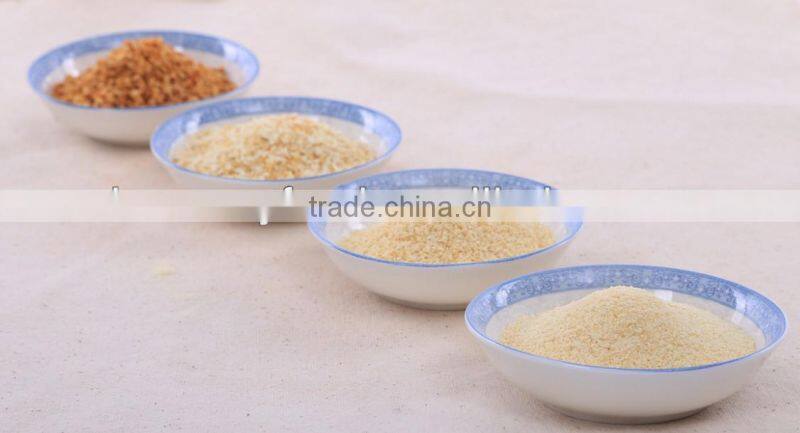 Exported Since 1992 Spices Garlic Onion Ginger Onion