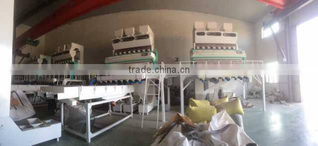 Inner Mongolia Sunflower seeds 5009