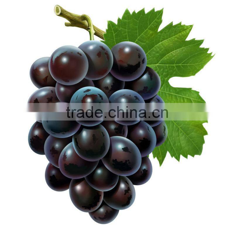 100% Natural Evening Primrose Oil GLA 10% Top Quality