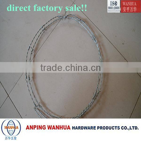 Anping Wanhua--Anti-theft Barbed Wire Mesh SGS
