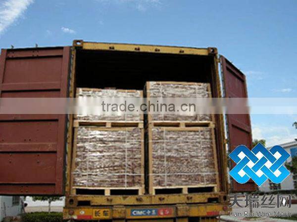 Low price polished/galvanized common nails(factory)