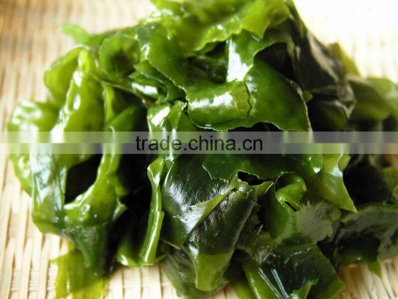 Carrot Multiple layer continuous type mesh belt dryer