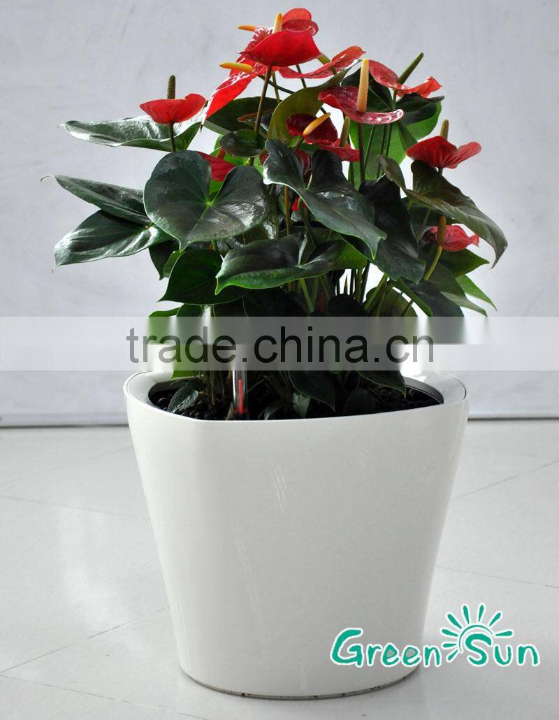 Plastic Look Self watering planter,balcony flower pot, plant pot