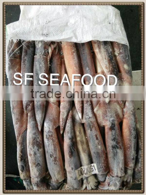 vietnam dried sea cucumber illex squid