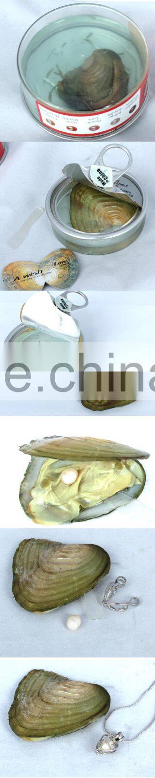 (October) Scorpio wish pearl gift (English version)