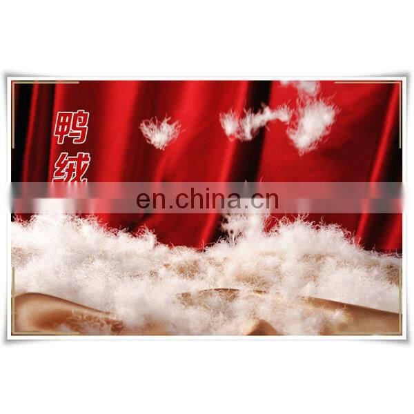 Feather and down white duck down for down jacket down pillow