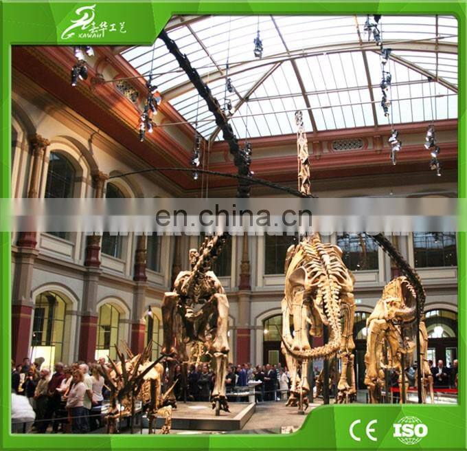 KAWAH OEM factory custom realistic dinosaur animal skeleton for sale