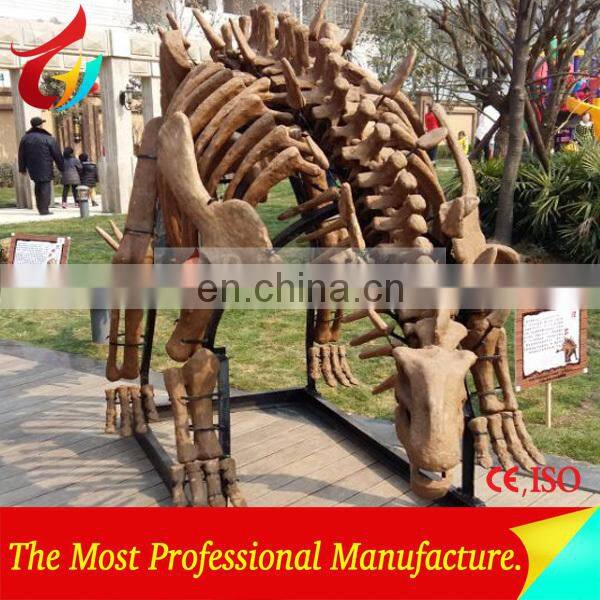 full size high realistic museum quality dinosaur skeleton