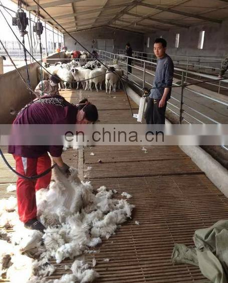 Electrical Wool Shearing Machine sheep scissor/goat hair cutting machine/sheep wool clipper for sale