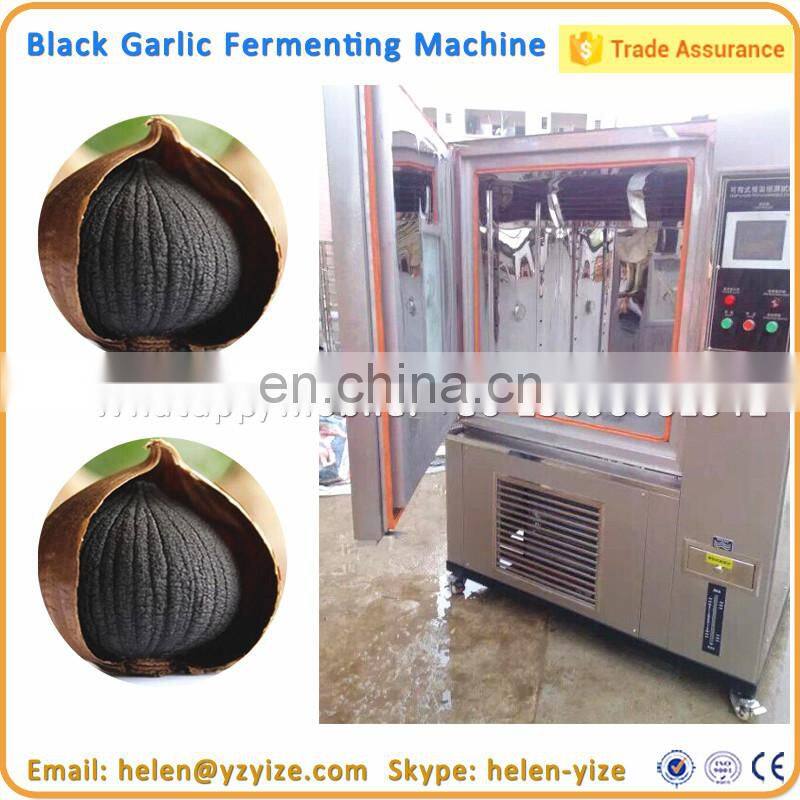 Automatic Type 5 Rows Garlic Seed Planter Garlic Seeder Machine