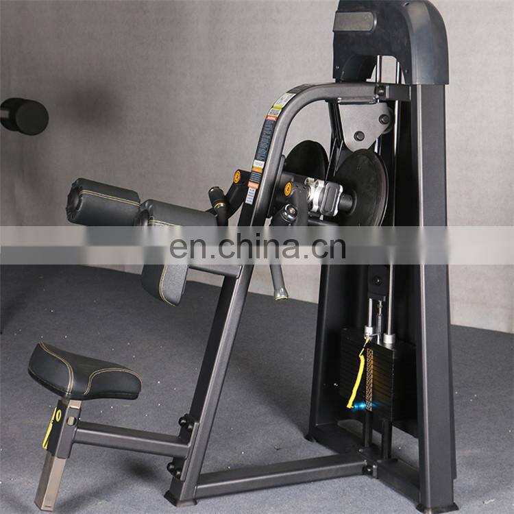 China wholesale Indoor/gym equitpment lateral raise machine