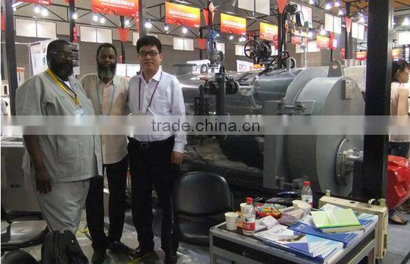 DZL Industrial Low Pressure Chain Grate Steam Output Straw Burning Boiler