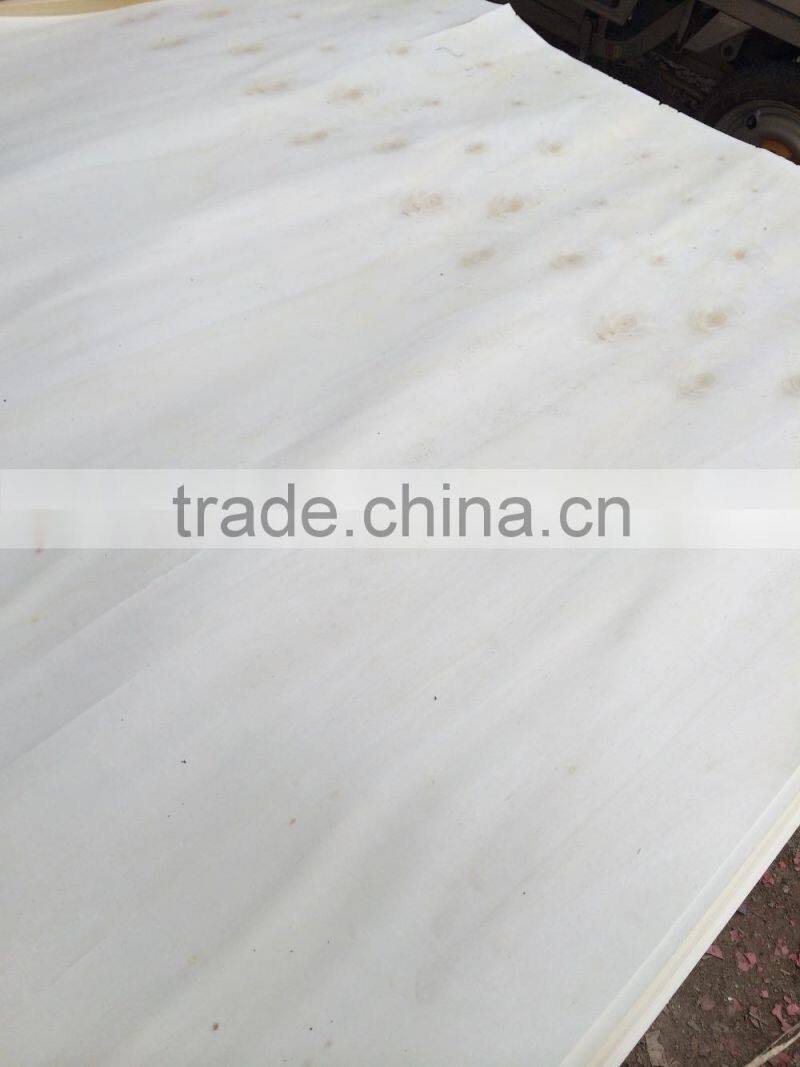 Rotary cut white color poplar wood face veneer with high quanlity Linyi factory manufactures