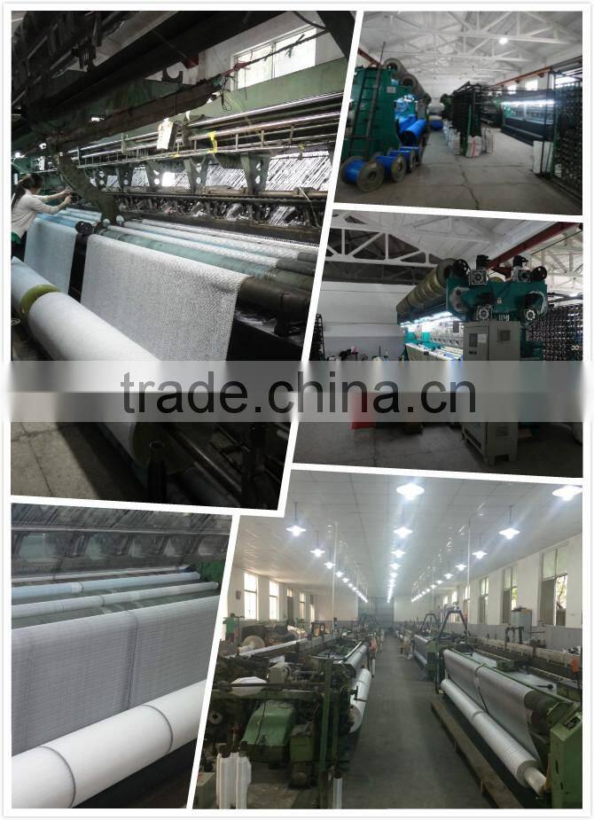 Export to southeast Asia high quality green shade net