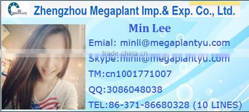 Little type MG single punch tablet press machine for sale