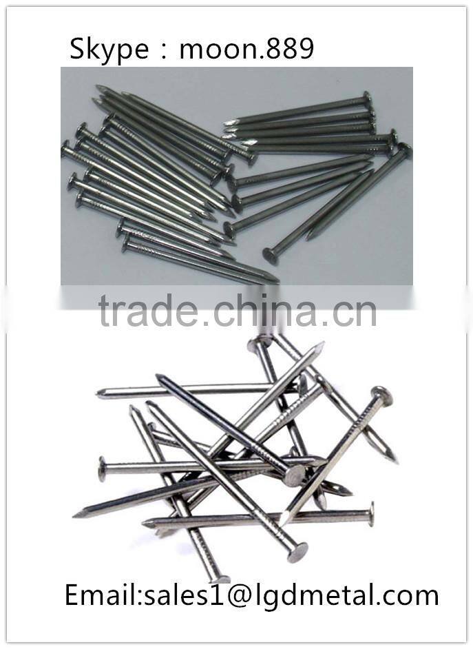 Good manufacturer of common nail/best price for nails