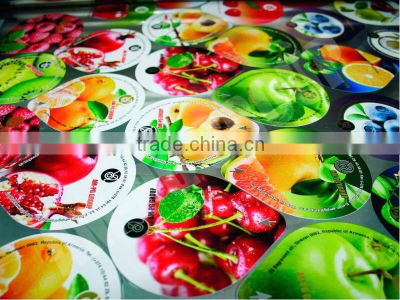 high efficient lid punching and embossing machine for yogurt cup lids.