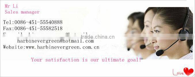 plastic tube packing bamboo toothpicks suppliers