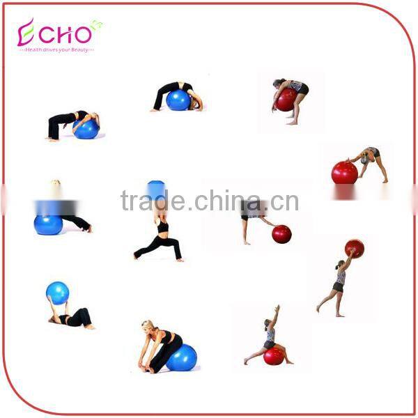 Gym Fitness 60 cm Explosion-proof Yoga Assistance Yoga Balance Ball