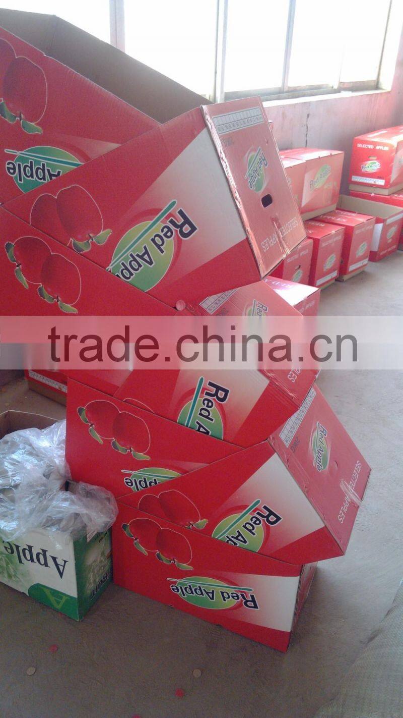 apple planter chinese apple fuji apple carton 20kg