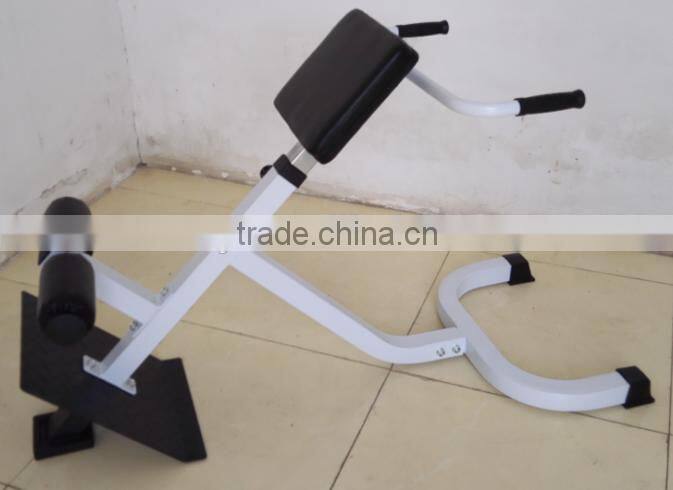 45 Degree Hyperextension/ Back Extension/ Home Use