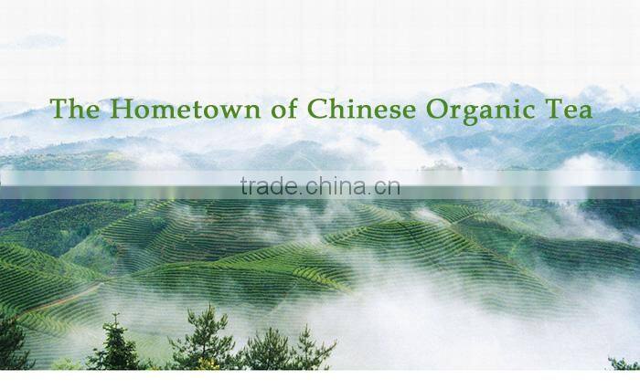 Hot selling 2015 chinese tea important