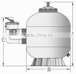 Swimming pool side mount sand Filter