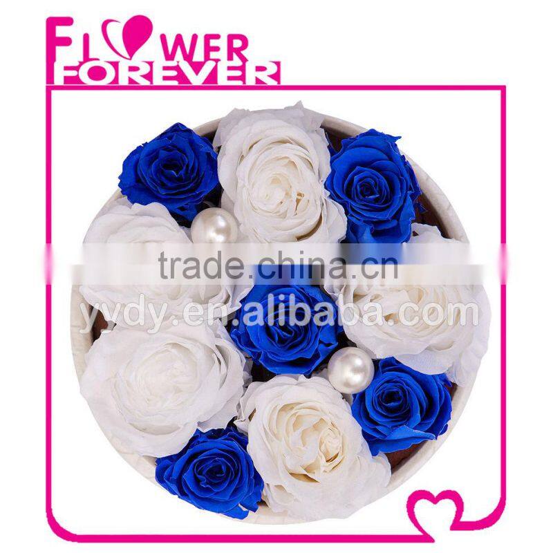 Top Selling Natural Preserved Roses