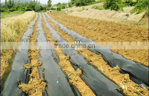 Black Mulching Film Masterbatch