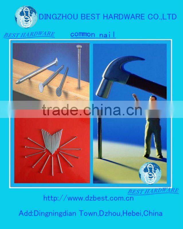 Round head nail Polished nail Iron nail Wire nails Common nails