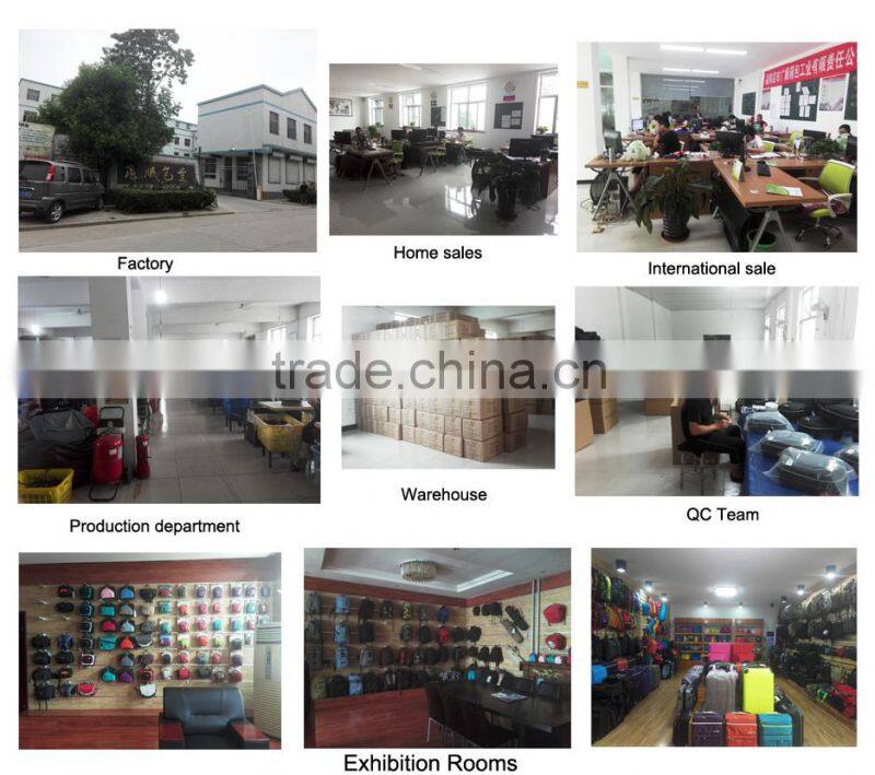 High Quality Fashion Camping Hiking Sports Traveling Backpack for Men