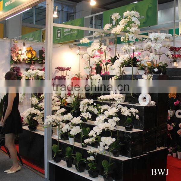 Artificial coated Phalaenopsis Orchids bonsai