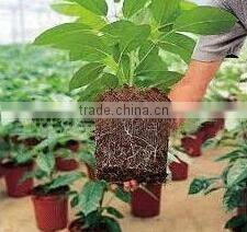 High Quality Density 80kg/m3 Non-asbestos 1.5" Seed Growing Rockwool Cubes for Agriculture