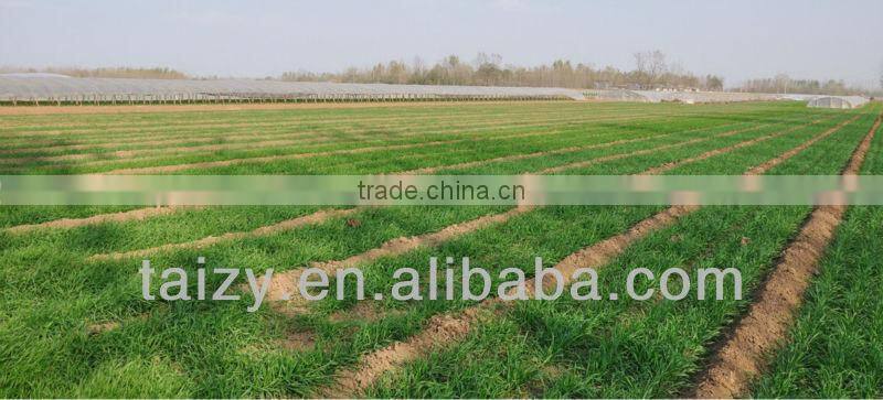 wheat seed drill Disc wheat seeder