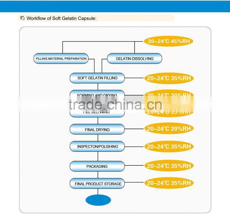 RG0.8-110A Automatic softgel encapsulation machine, soft gelatin encapsulation machine