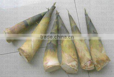 TW-822 Carrot Slicer Machine To Cut Potato (Video) Factory