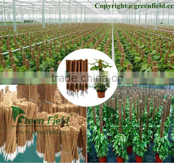 Garden Growing Support,Plant Support