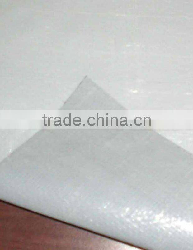 Wholesale PP/PE woven fabric roll