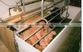 Farrowing crate