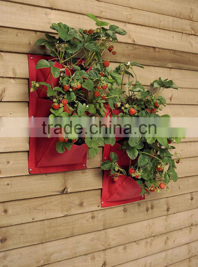 Strawberry Vertical Garden 3-Pockets Grow Bags
